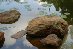 IMG_2576web