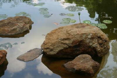 IMG_2576web