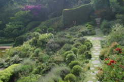 IMG_4918web